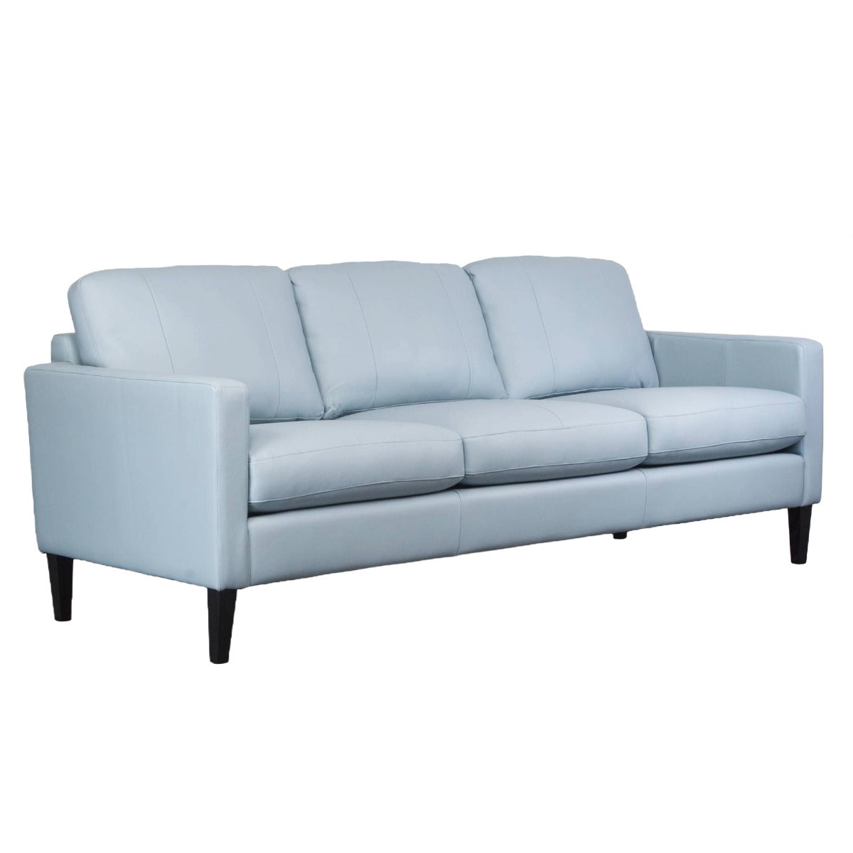 SOREN LEATHER STATIONARY SOFA
