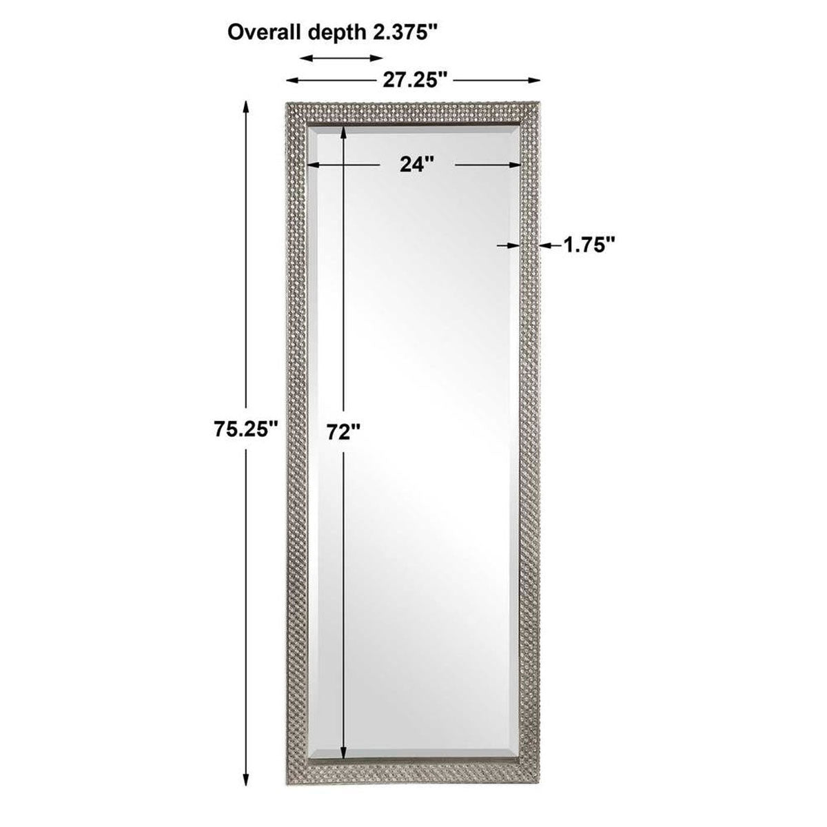 Cacelia Slvr Fl Mirror