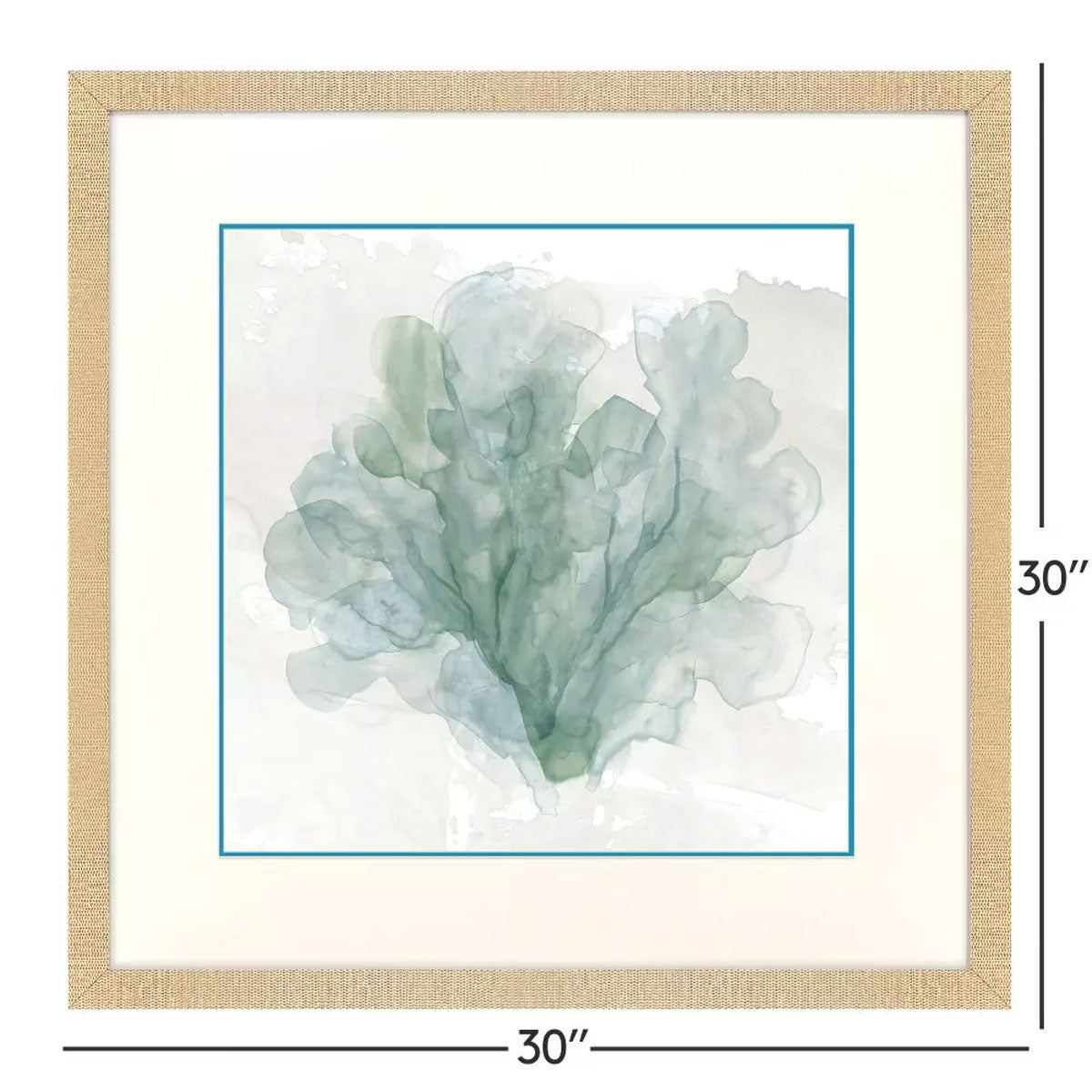BLUE CORAL II FRM ART