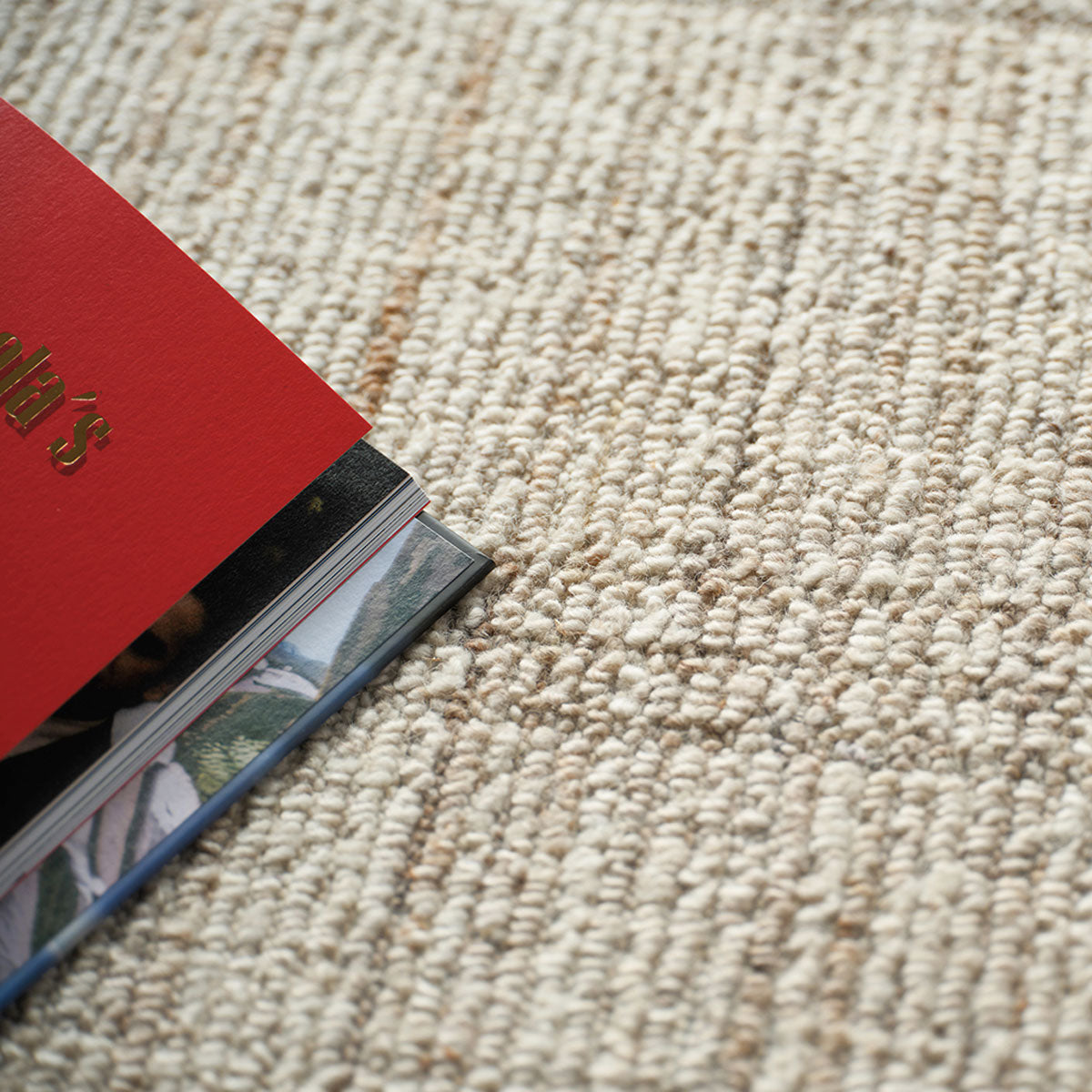 DESI 7461 8X10 RUG