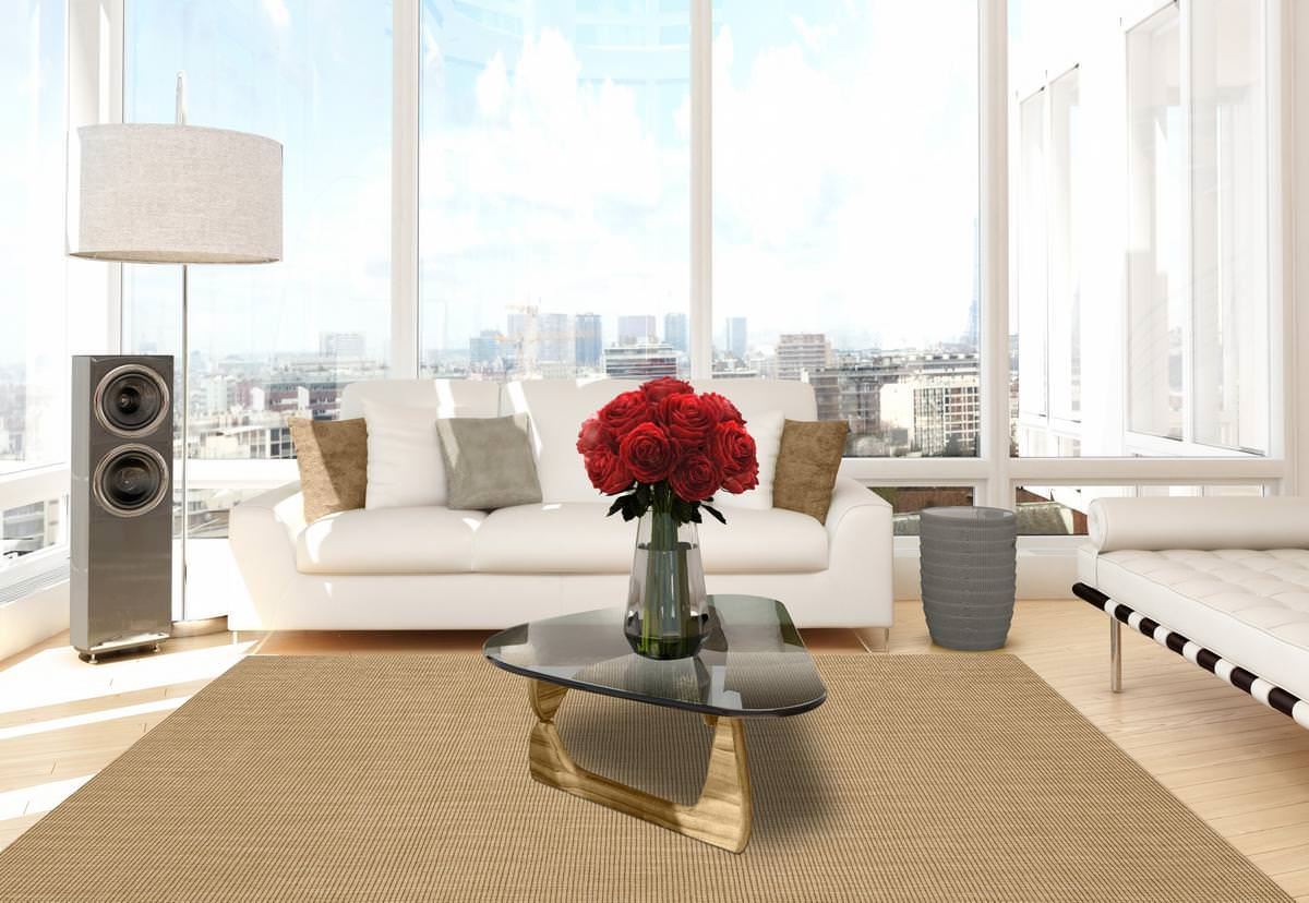 Monac Sisal Sndstn 5'X8' Rug