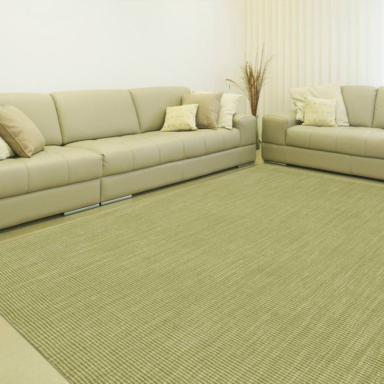 Monaco Sisal 5X8 Rug In Aloe