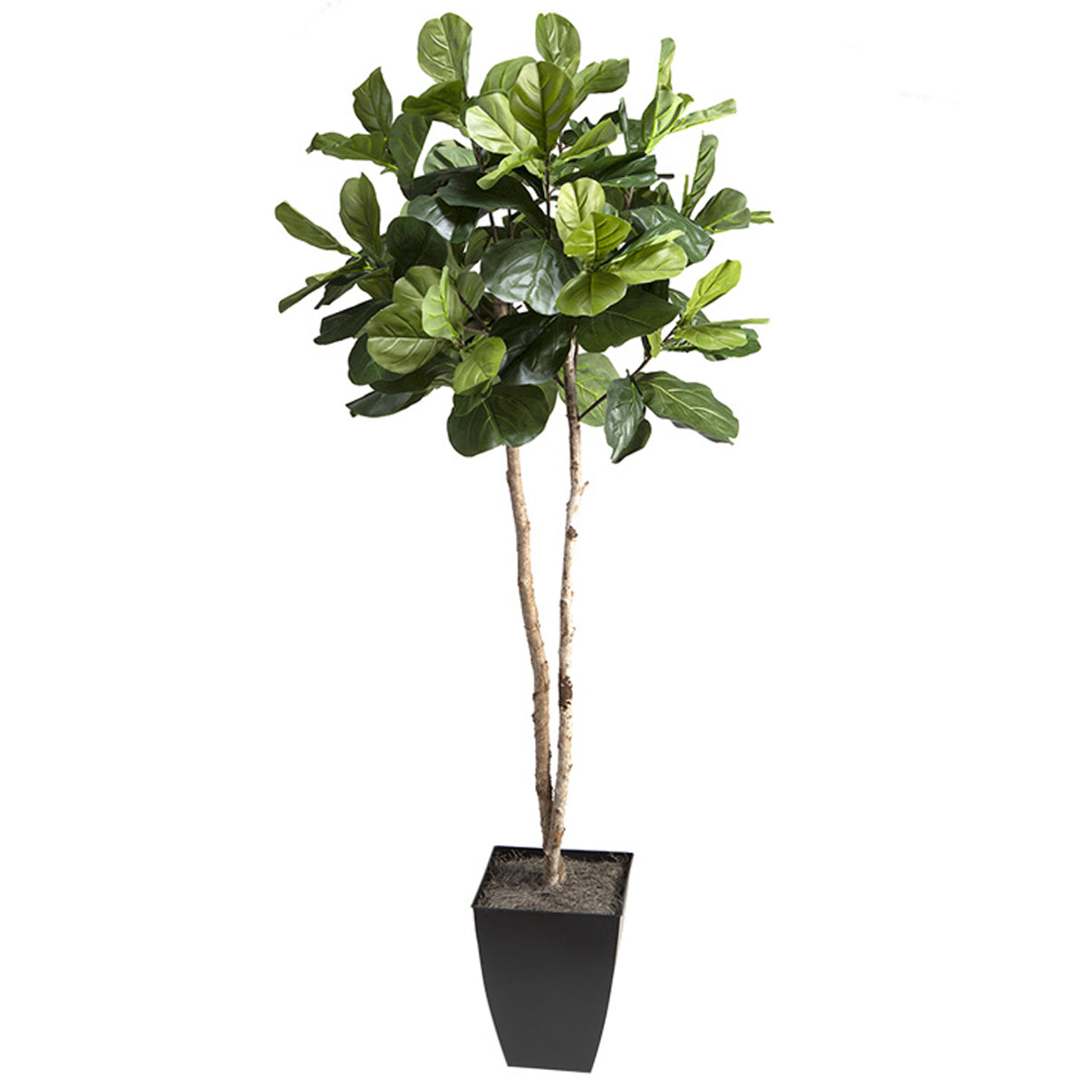 Artificial_Plants_ID