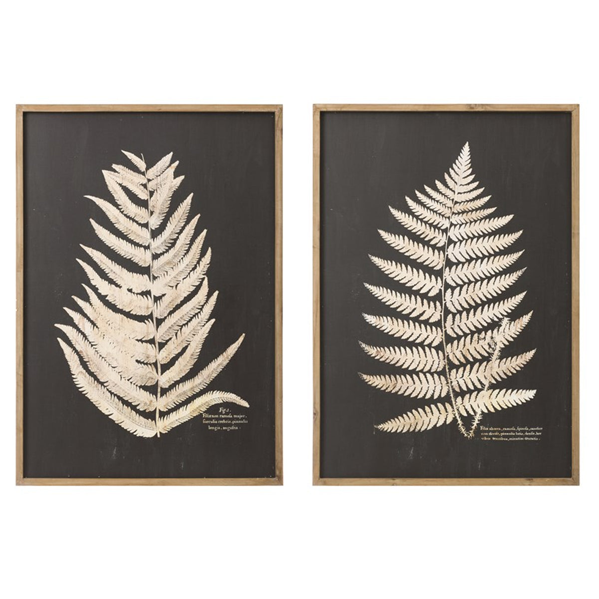 WOOD LEAF CUTOUT FRAMED ART