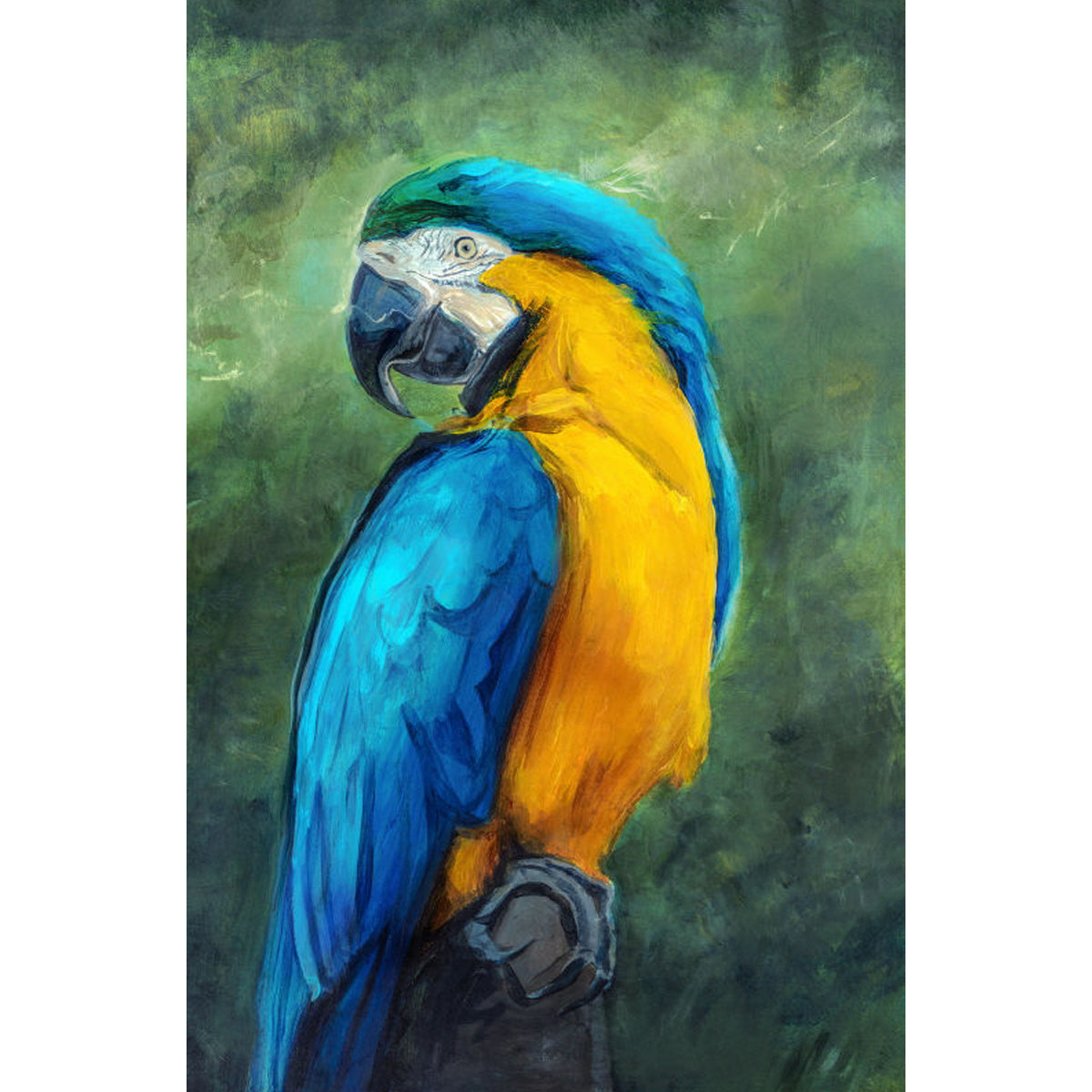 TELL ME 30X46 PARROT FRAMED ART