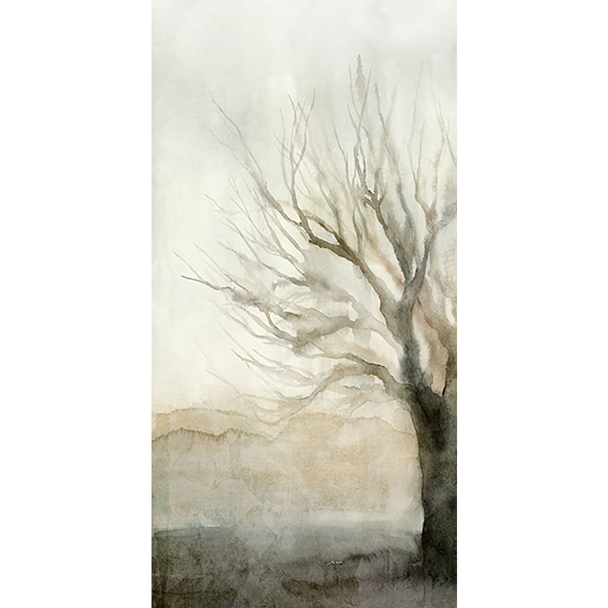 24 X 48 HUNDRED YEARS I ART
