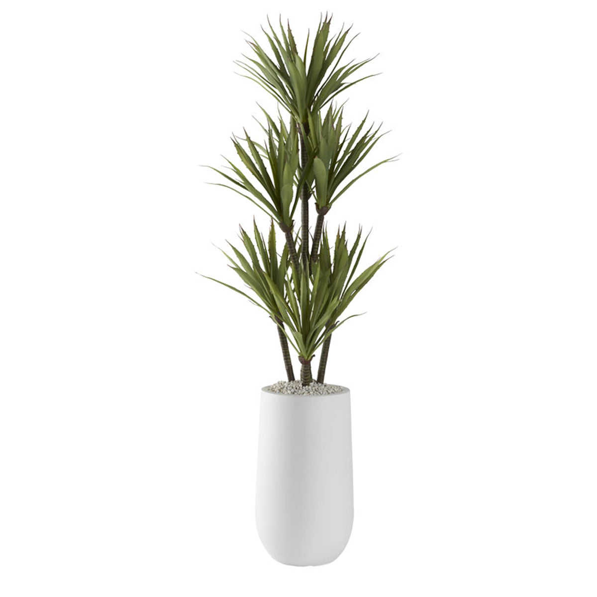 52" Yucca Tree In White Planter