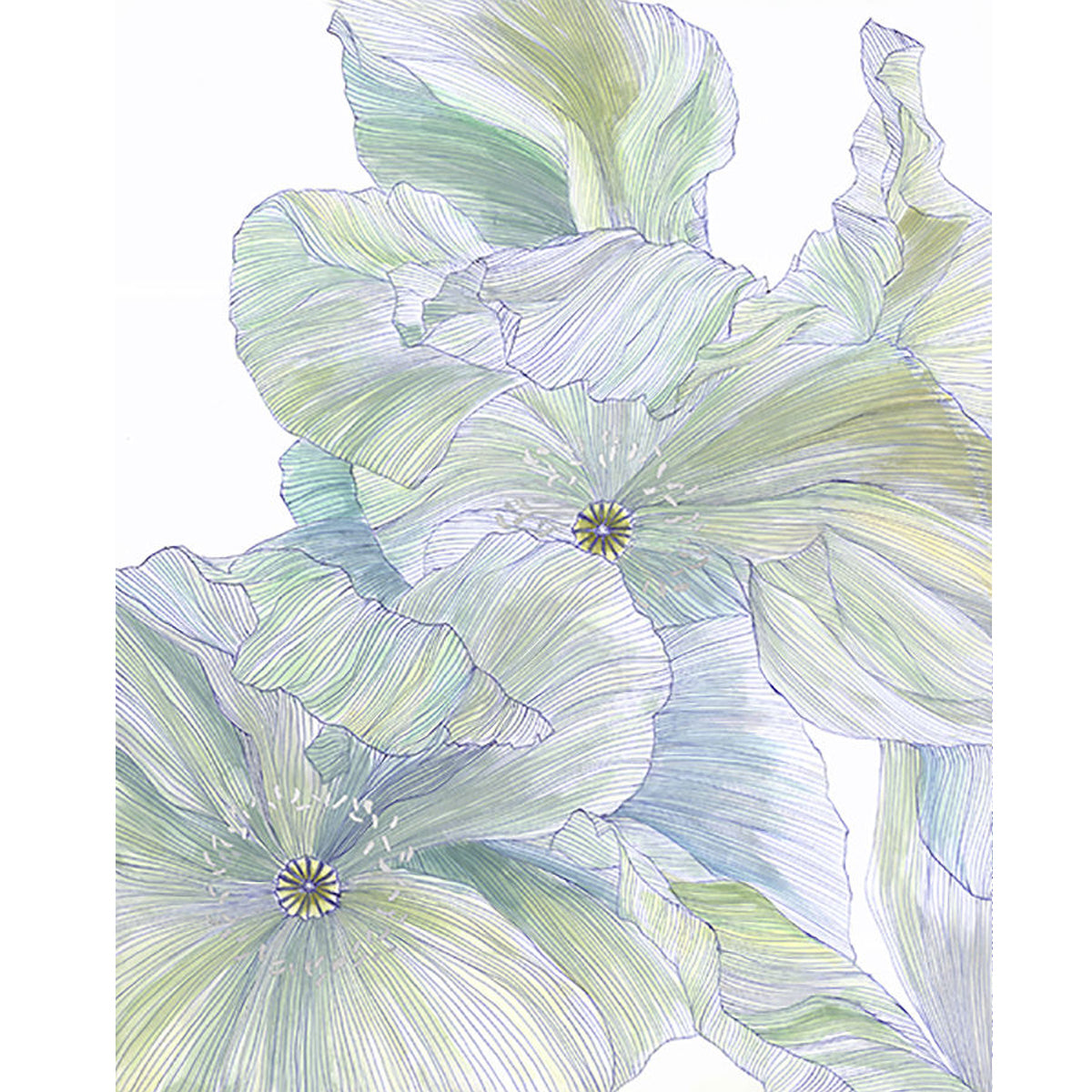 24 X 30 SUMMER PETALS II ART
