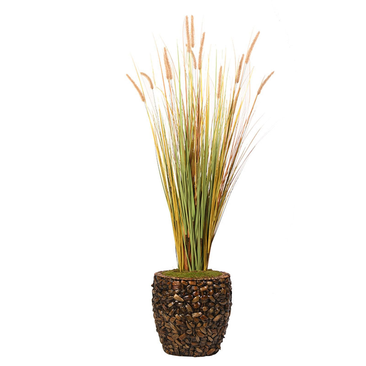 70" Onion Grass In Round Bskt