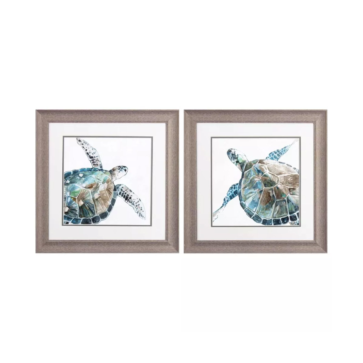 SET OF 2 NEUTRAL SEA TURTLE FRAMED ART
