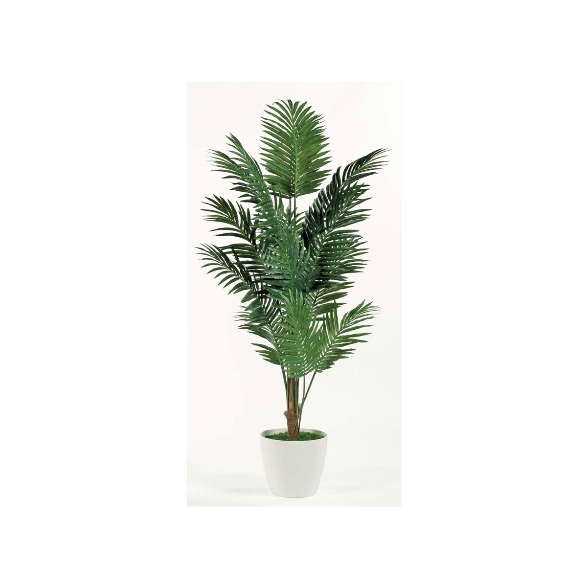 7' Paradise Palm