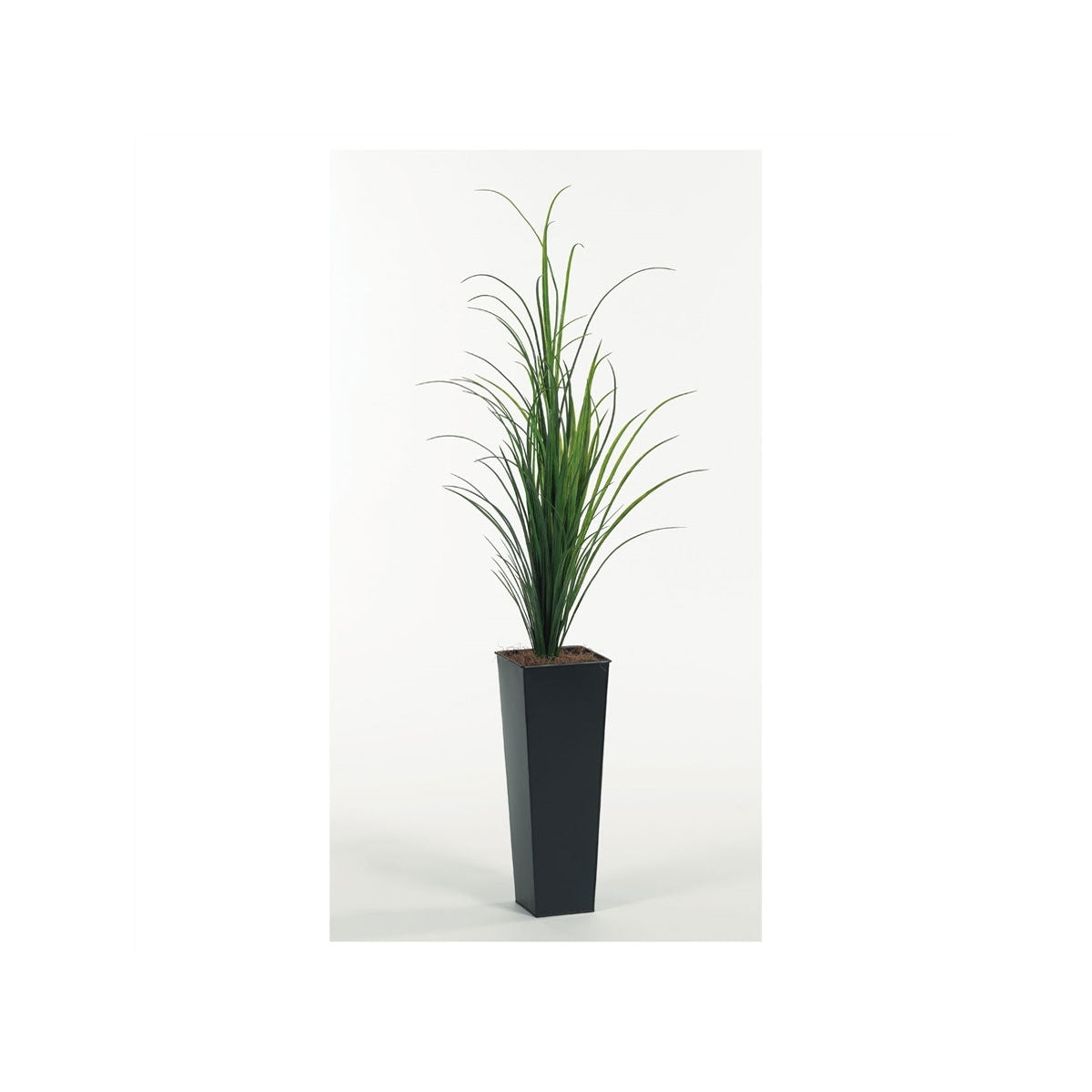 6' Grass In Square Metal Planter