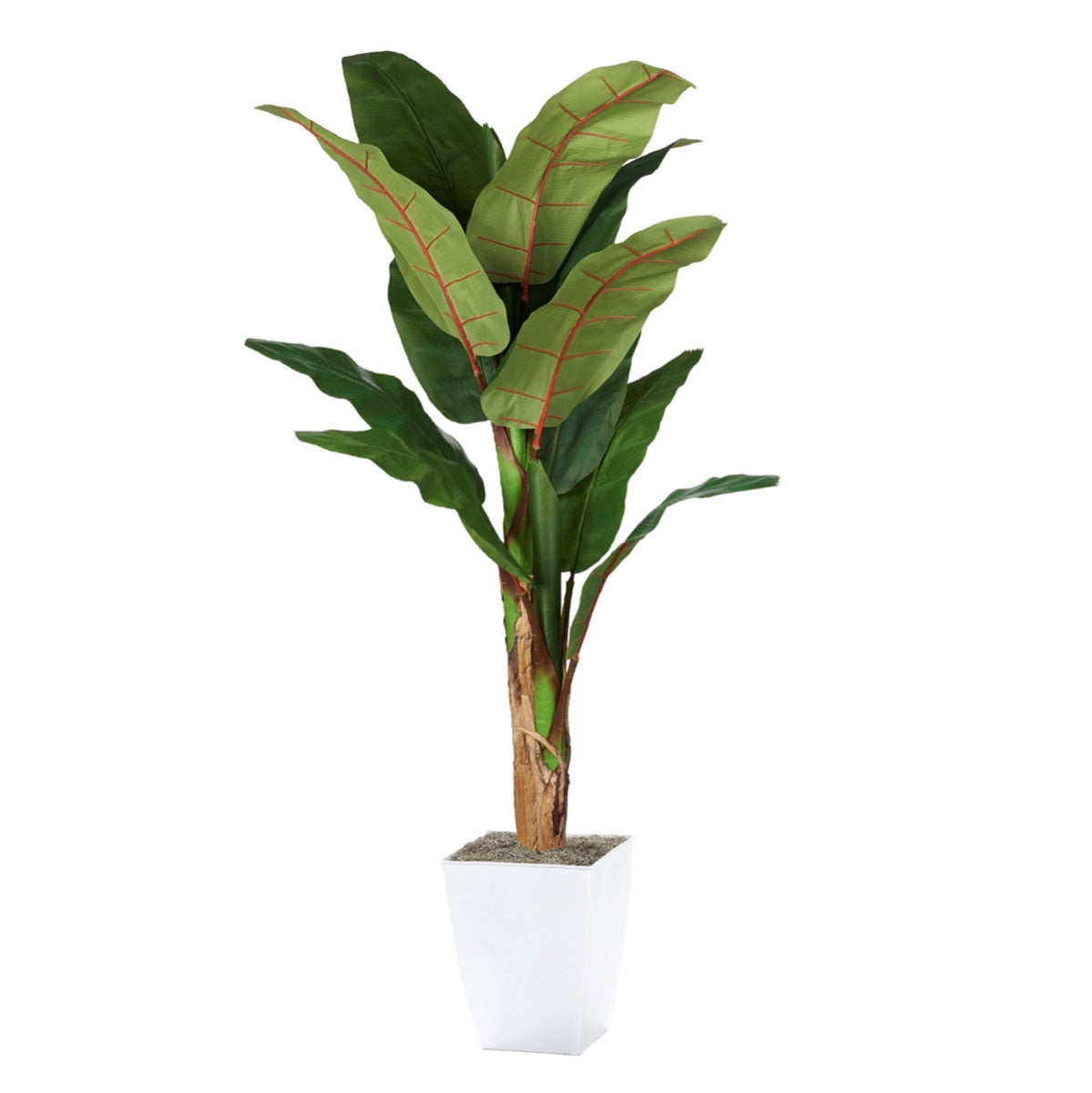 7' Banana Tree White Metal Plntr