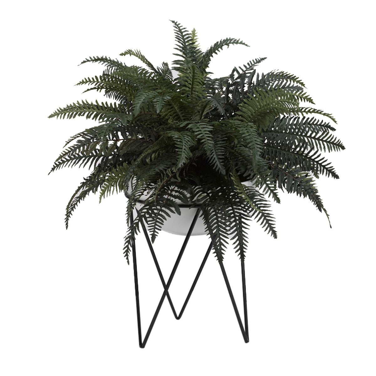 Large Rvr Fern In Bowl With Metal Stn