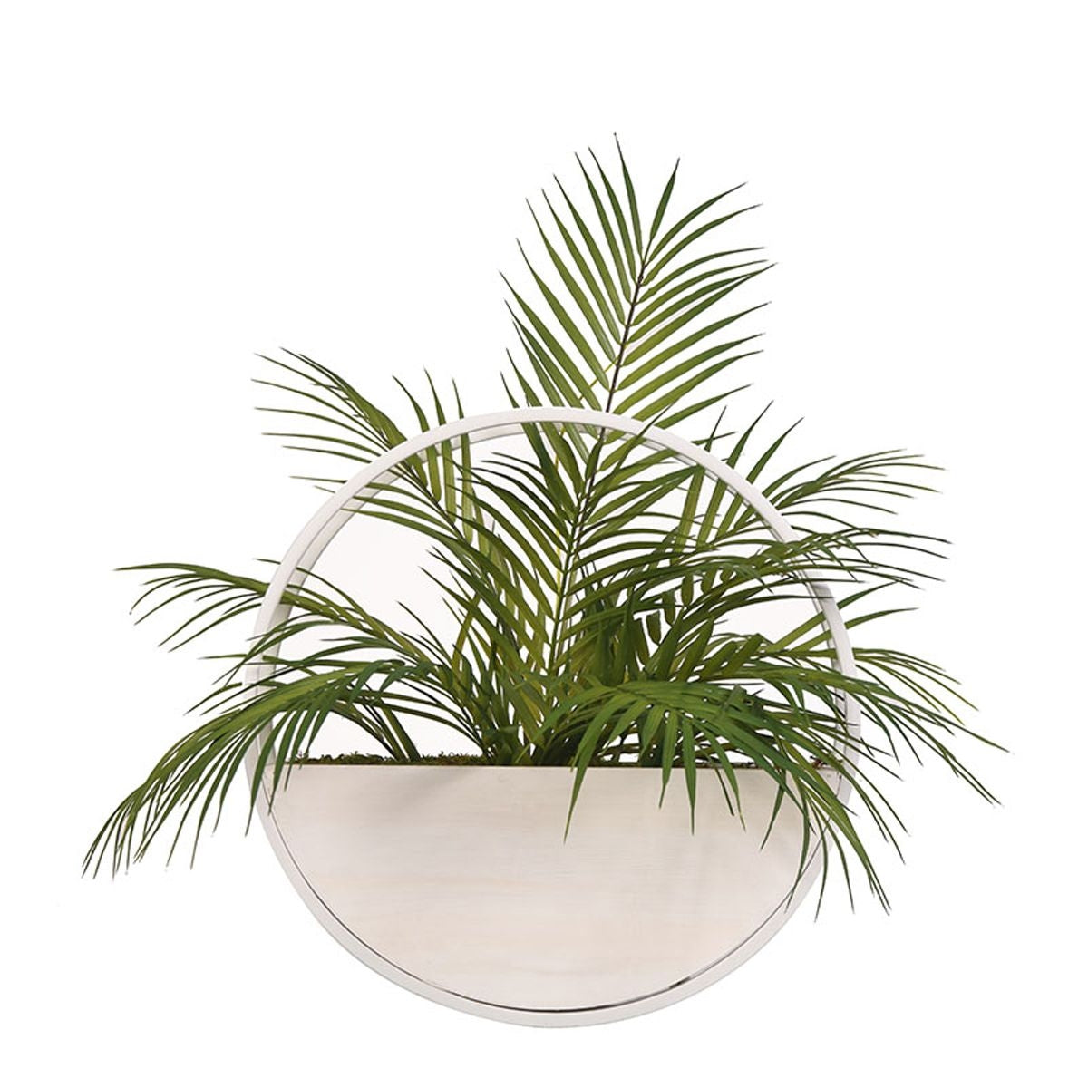 Metal Plntr Fern Wall Hanging