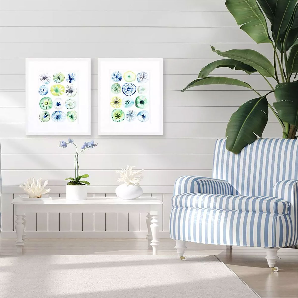 SEA URCHIN ASSORTMENT S/2 ART