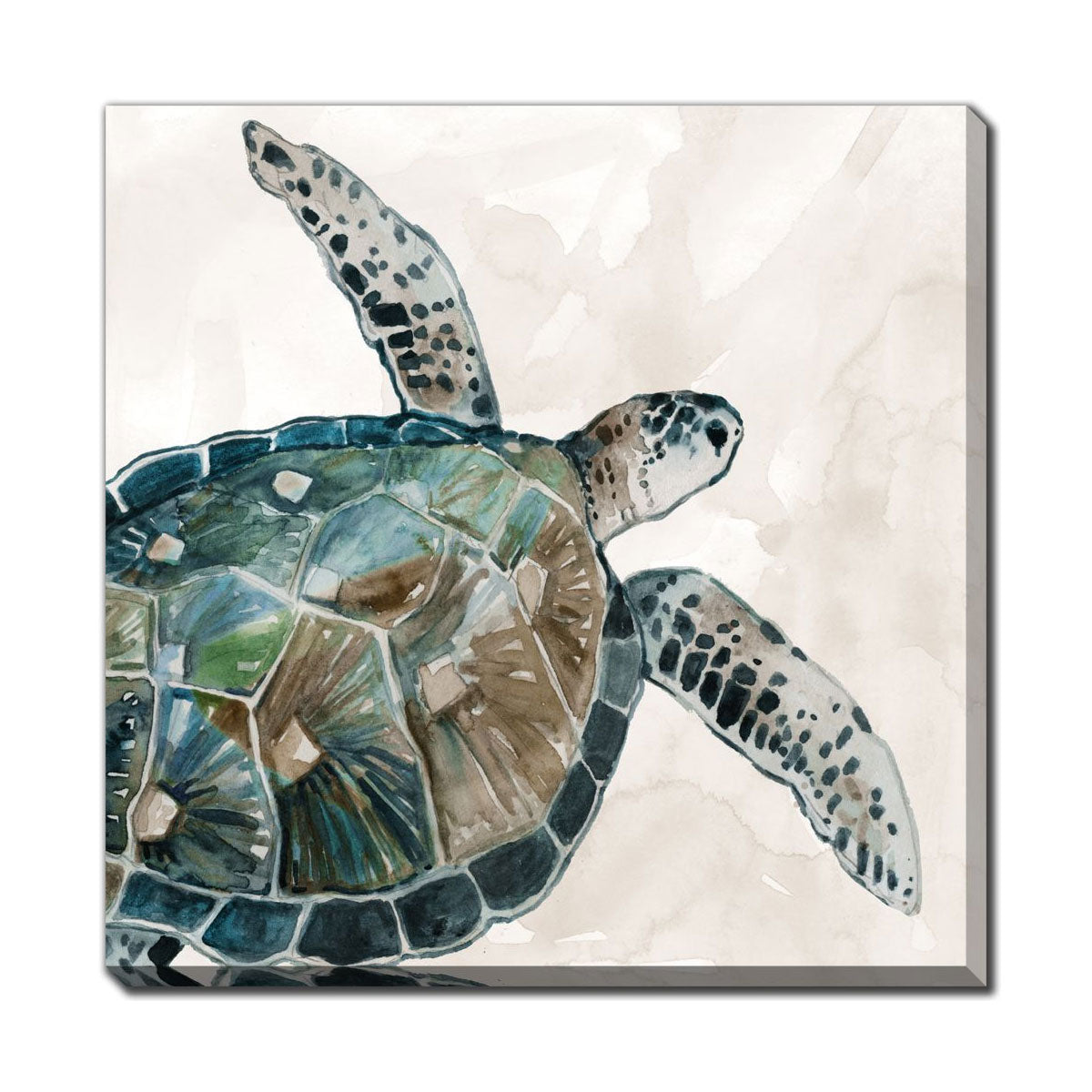 SEA TURTLE CANVAS 18X18