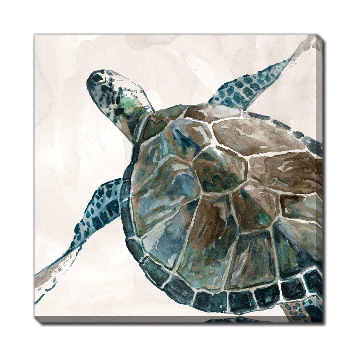NEUTRAL SEA TURTLE II ART