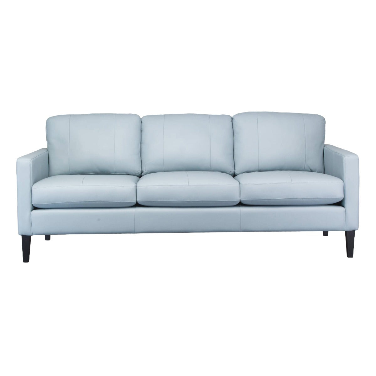 SOREN LEATHER STATIONARY SOFA