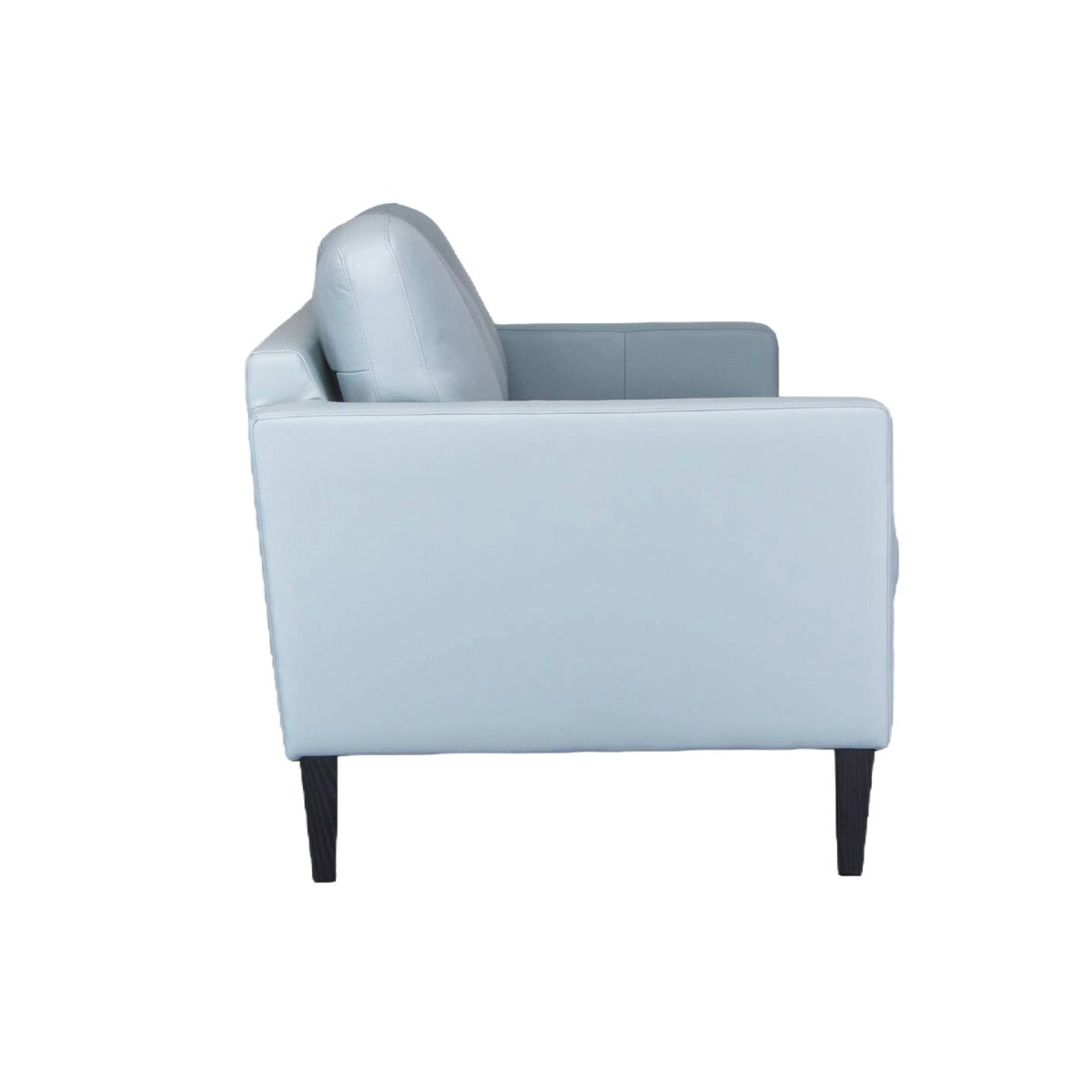 SOREN LEATHER STATIONARY SOFA