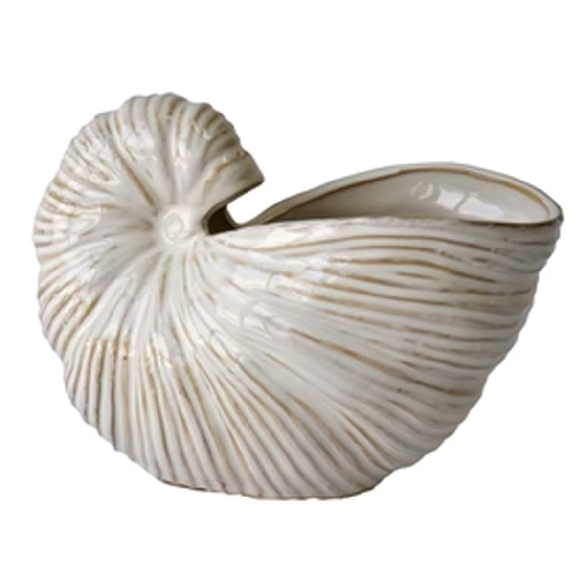 Wht Cer Nautilus Shell Sculpt