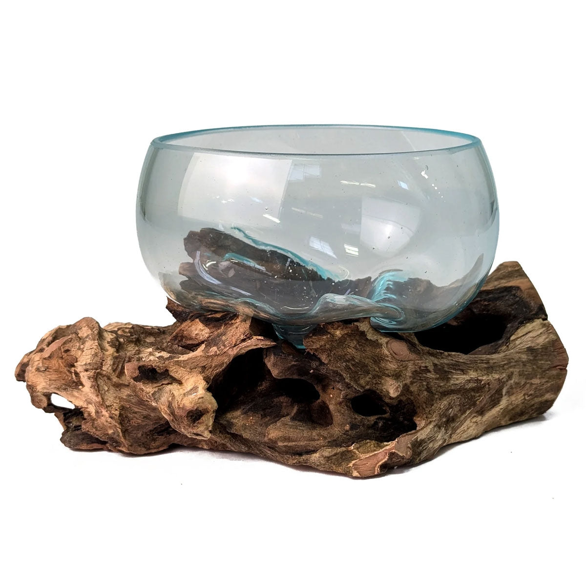 Driftwood Glass Terrarium