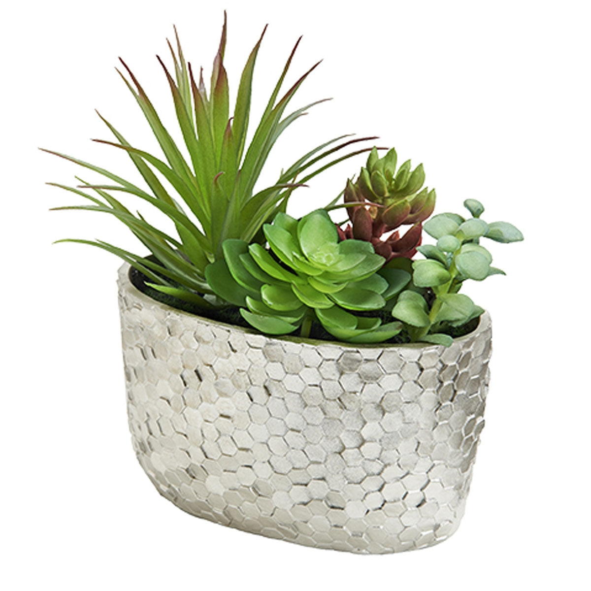Ast Succulents In Slvr Pot
