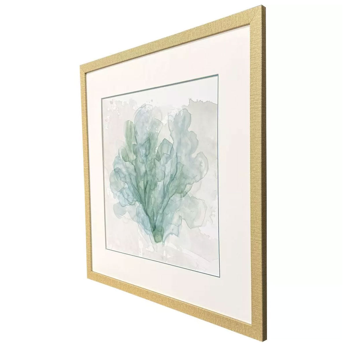 BLUE CORAL II FRM ART