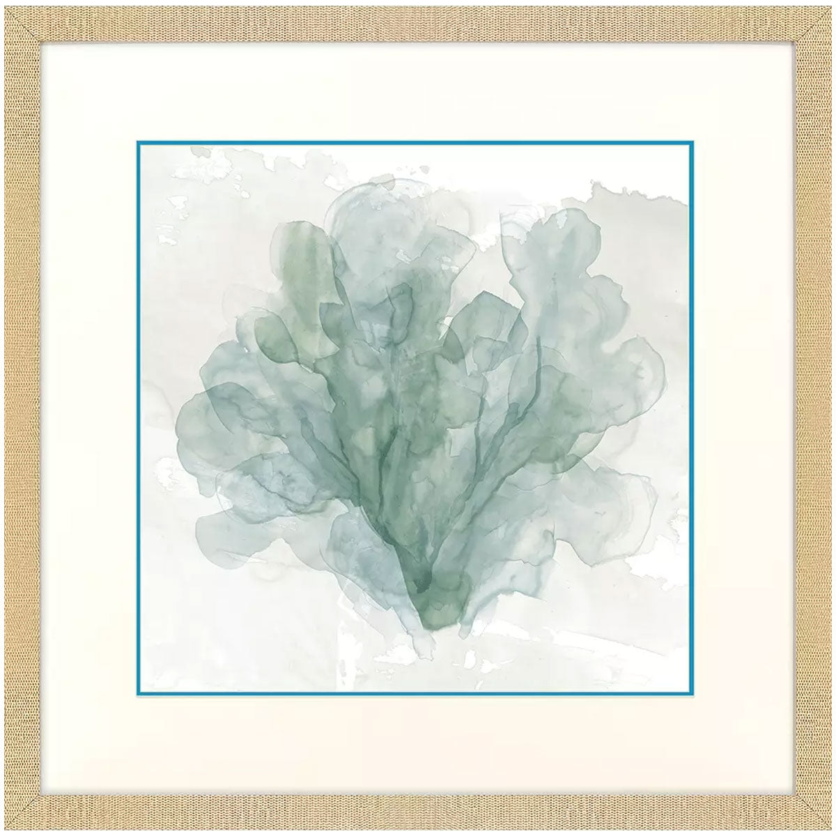 BLUE CORAL II FRM ART