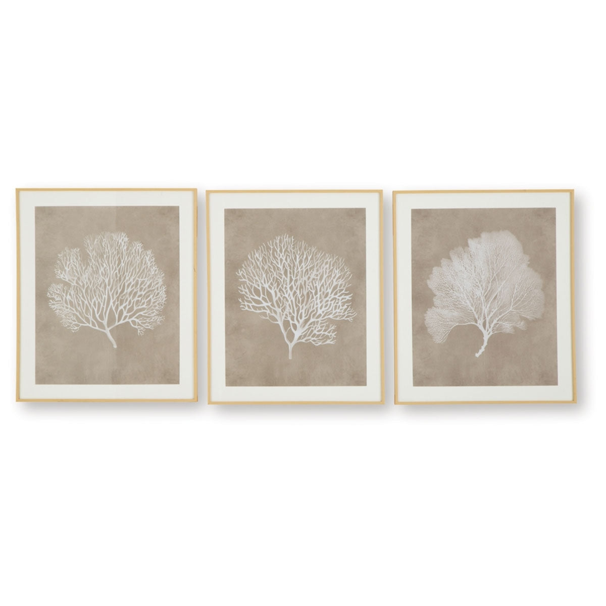 HENDRIDGE S/3 CORAL FRAME ART