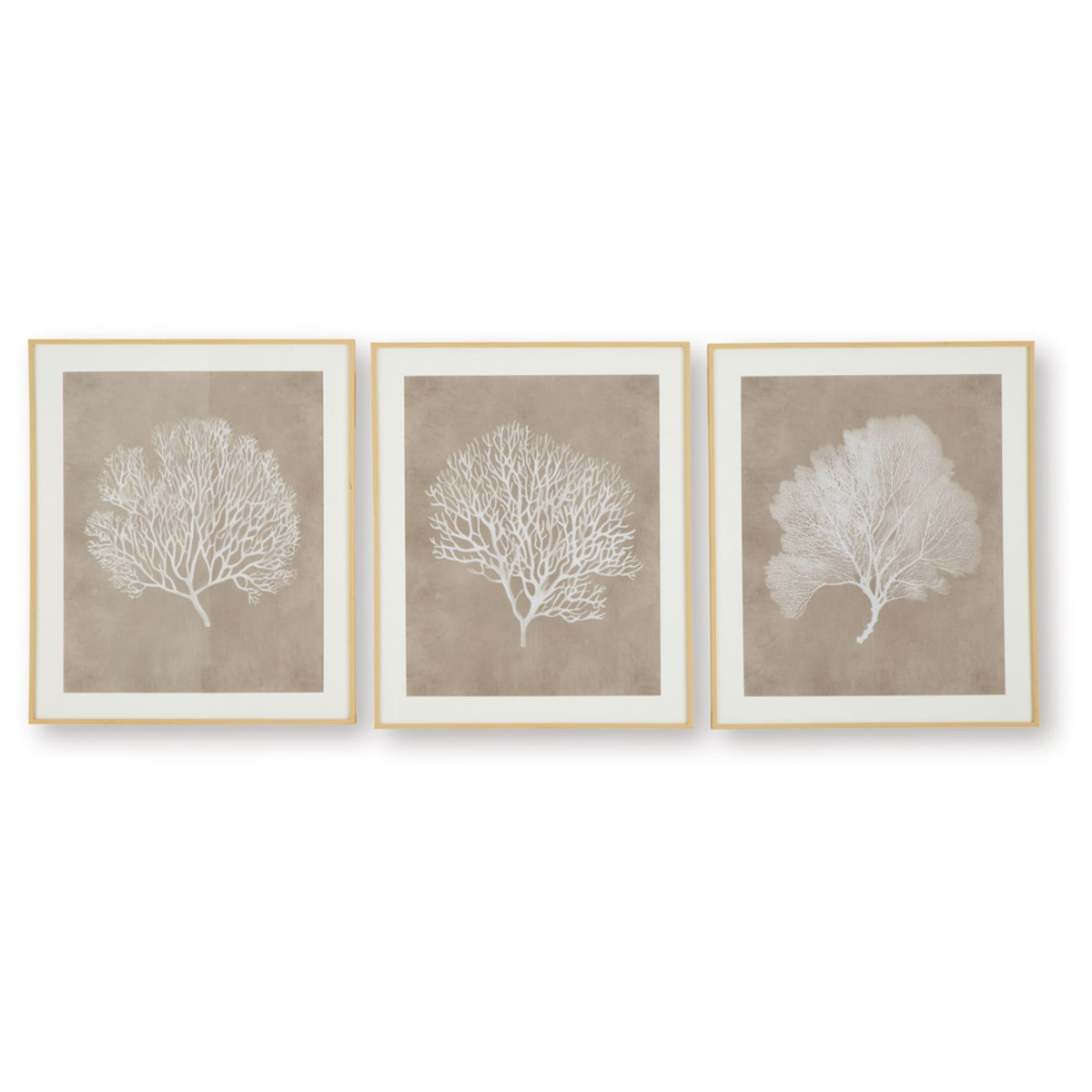HENDRIDGE S/3 CORAL FRAME ART
