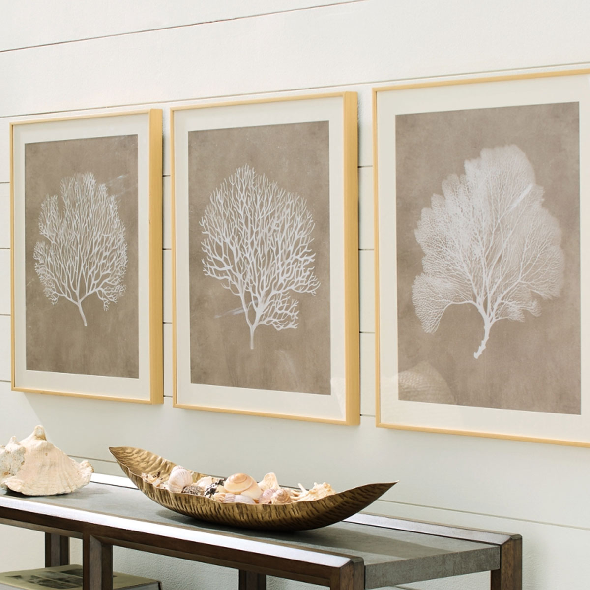 HENDRIDGE S/3 CORAL FRAME ART