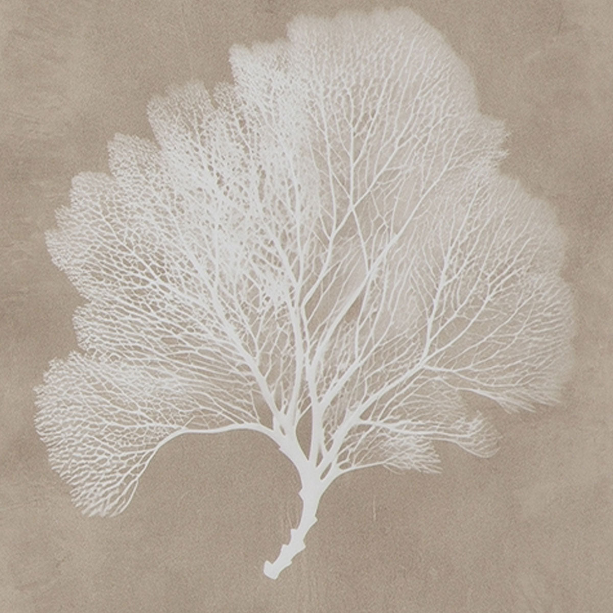 HENDRIDGE S/3 CORAL FRAME ART