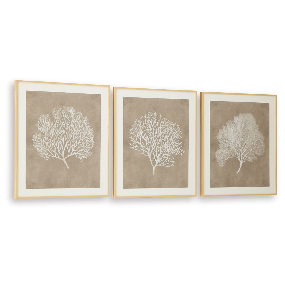 HENDRIDGE S/3 CORAL FRAME ART