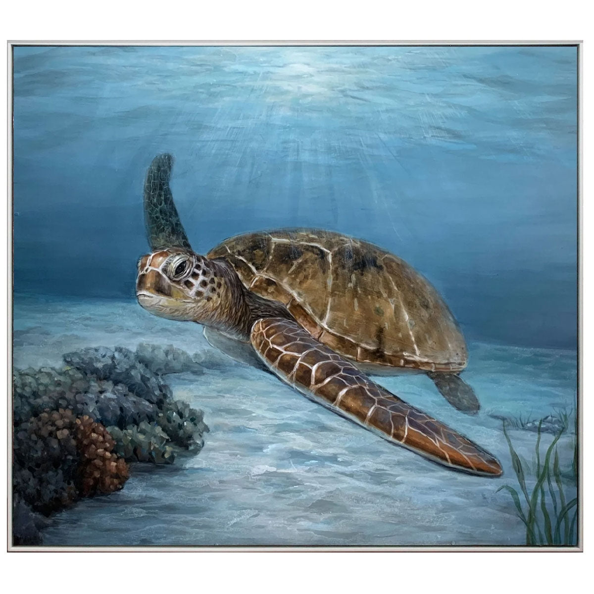 CRUISING TURTLE
