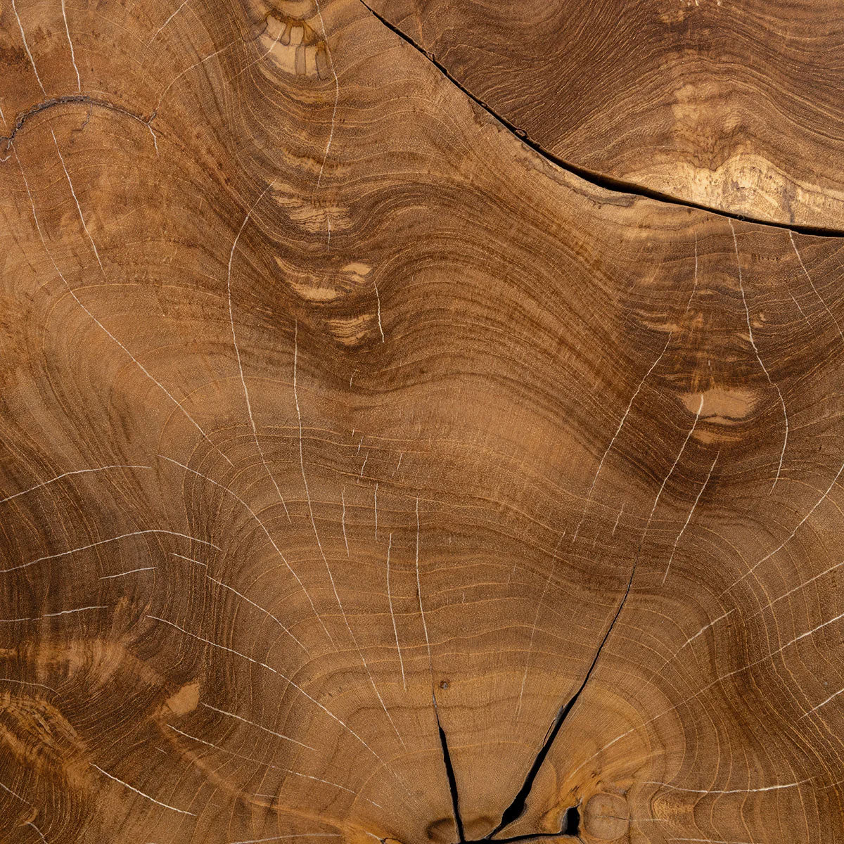 RHEA 32" ROOT COFFEE TABLE