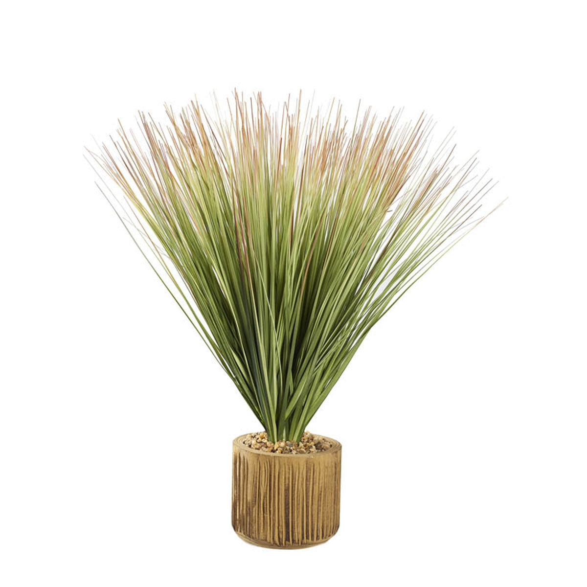 Grn Brown Onion Grass Wd Plntr