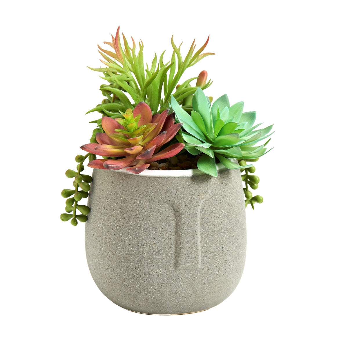 Succulent In Aztec Pot