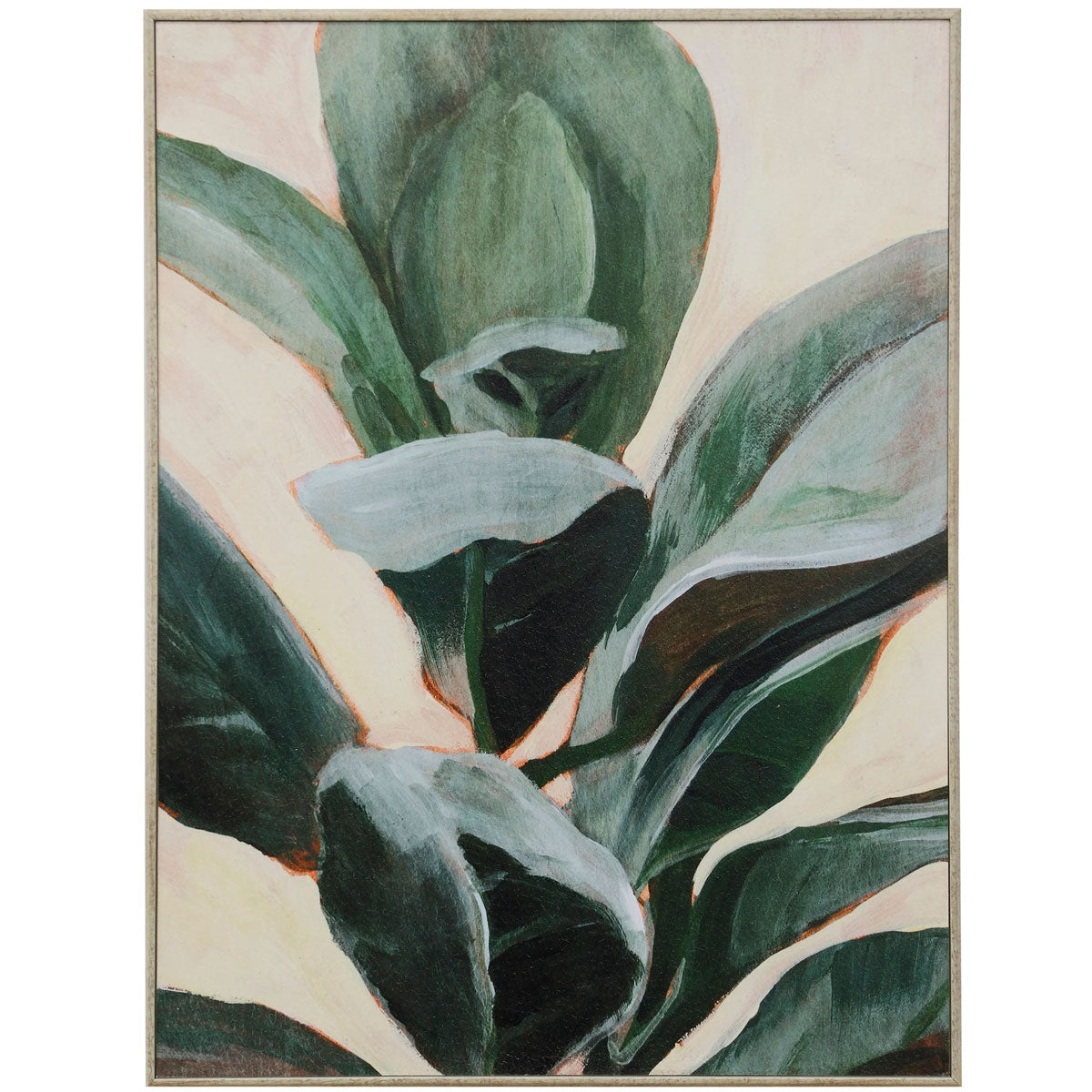 PLANT STUDY II