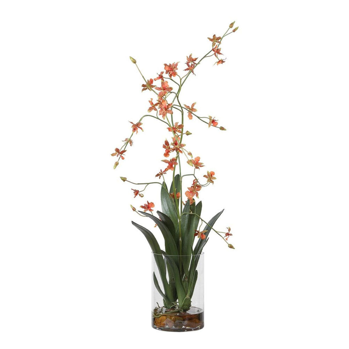 Dancing Orchid Floral Argmnt