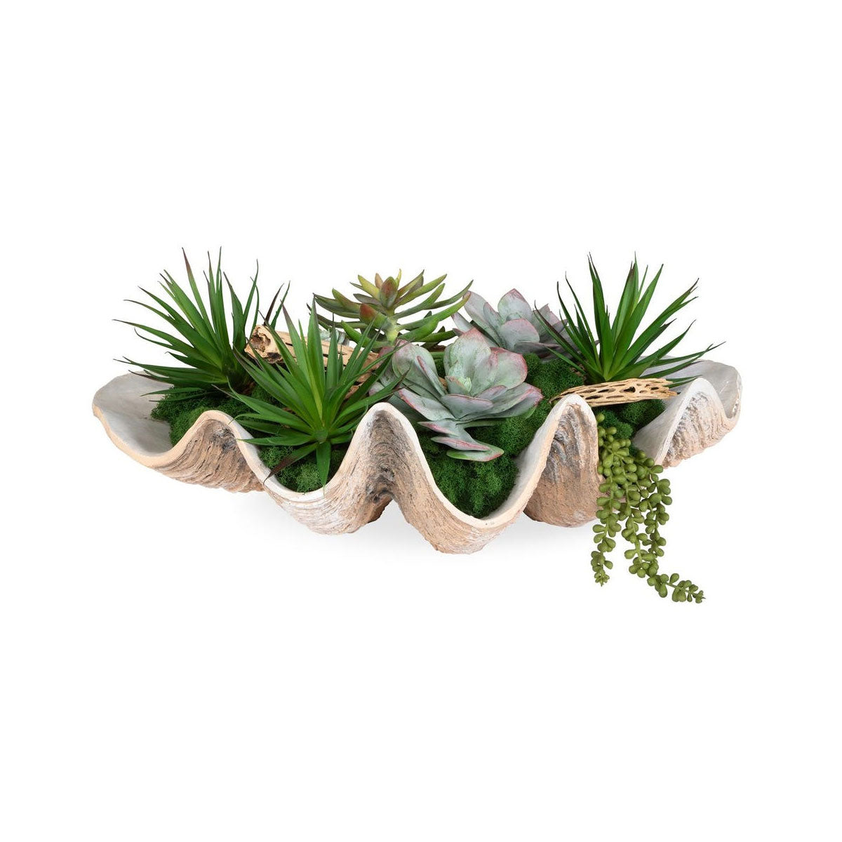 Seaside Breeze Succulents
