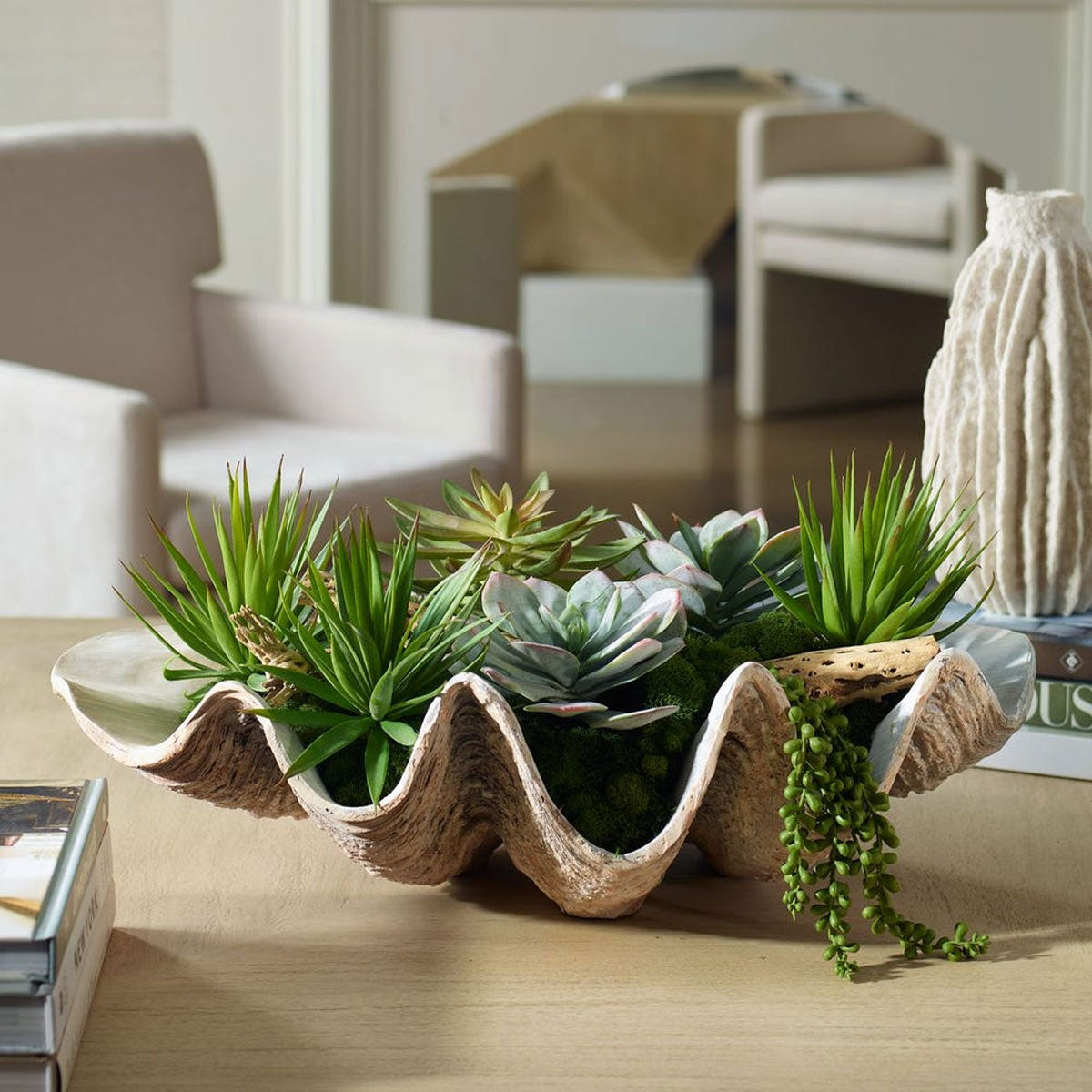 Seaside Breeze Succulents