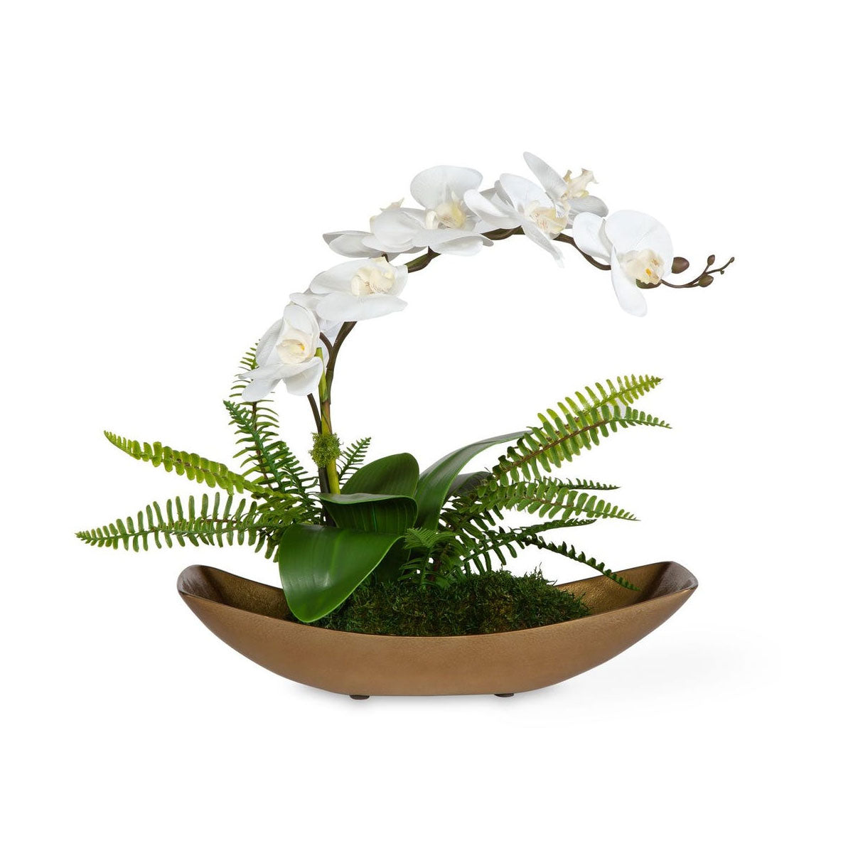 Transcend Orchid Arrangment