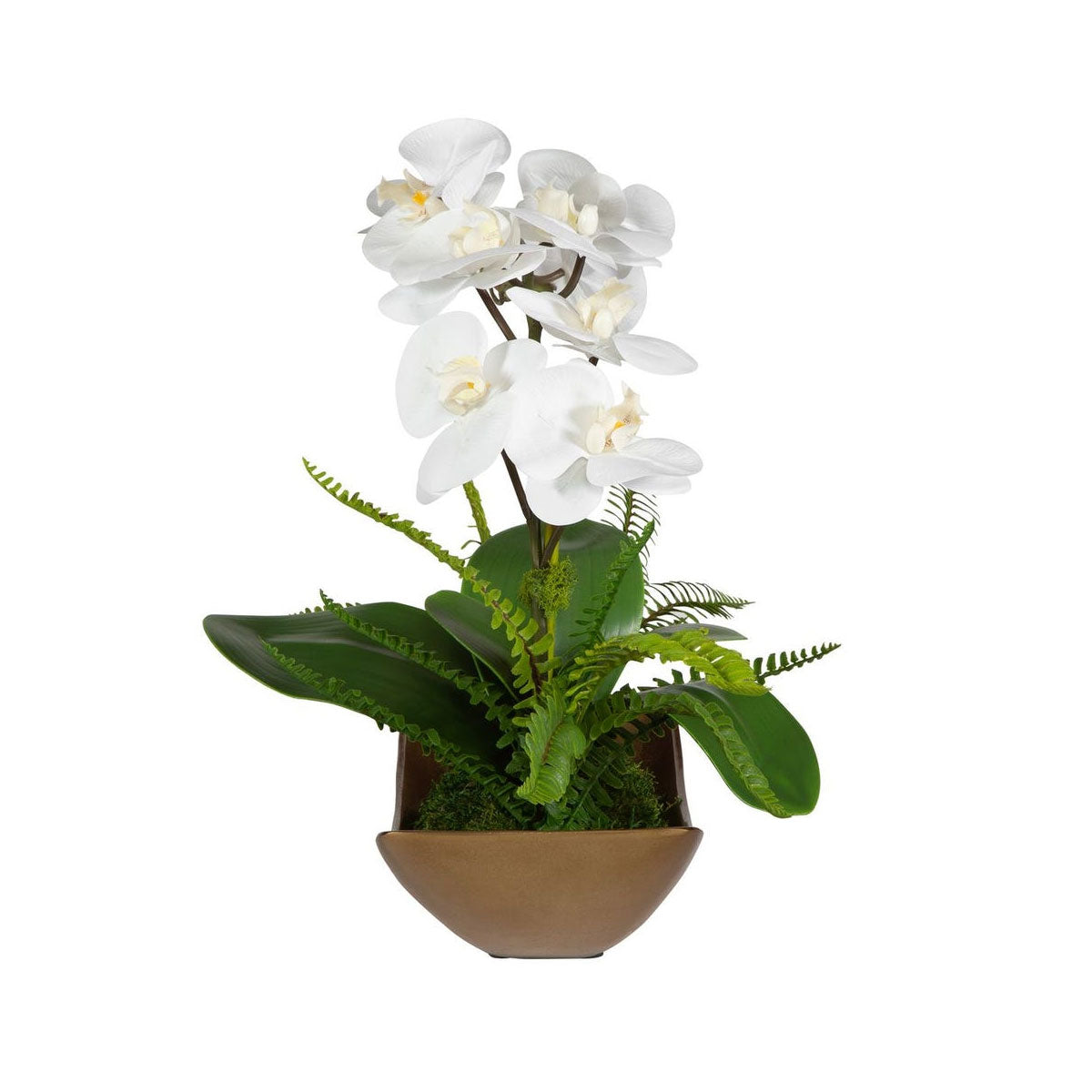 Transcend Orchid Arrangment