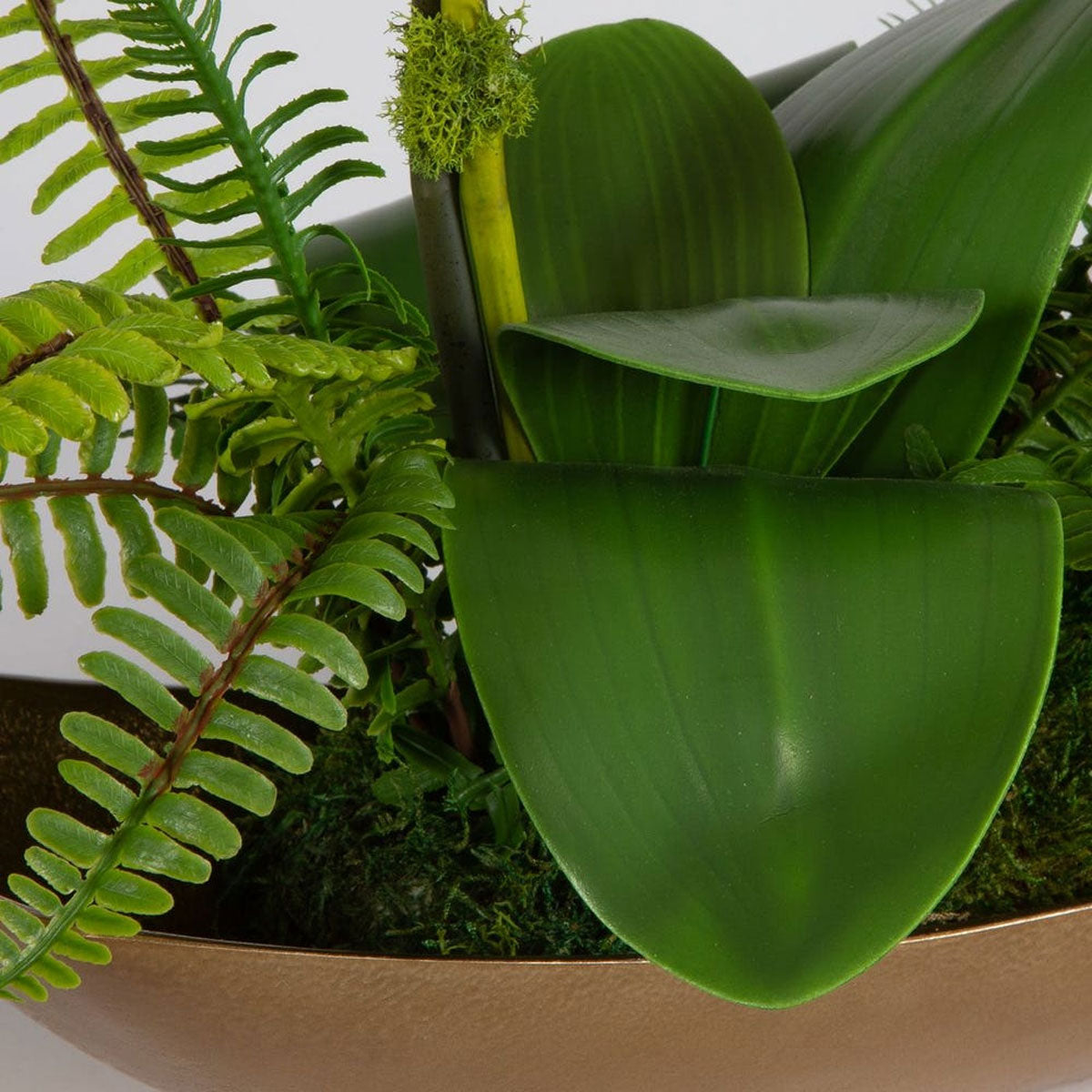 Transcend Orchid Arrangment