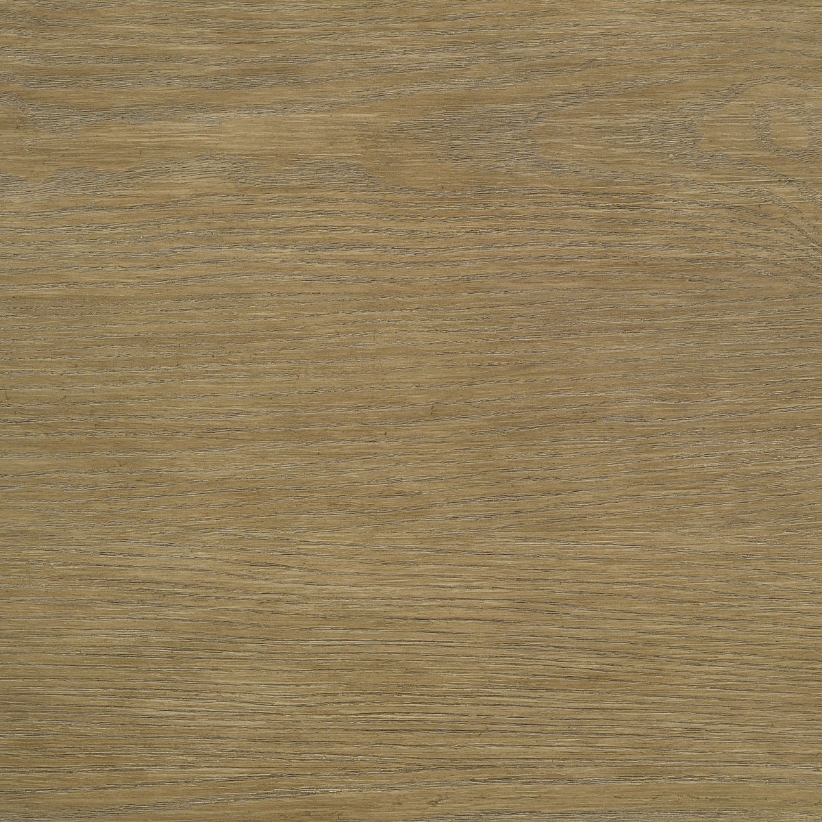 arini swatch #color_sand